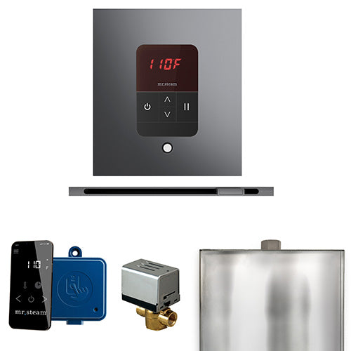 Mr.Steam Basic Butler Linear Control Package