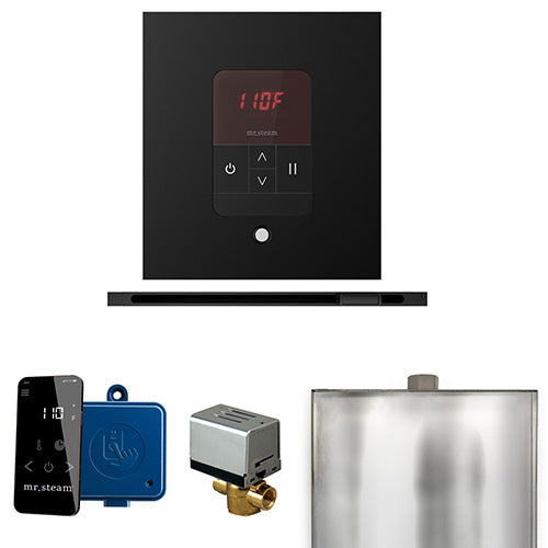 Mr.Steam Basic Butler Linear Control Package