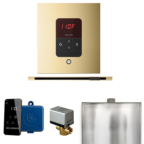 Mr.Steam Basic Butler Linear Control Package