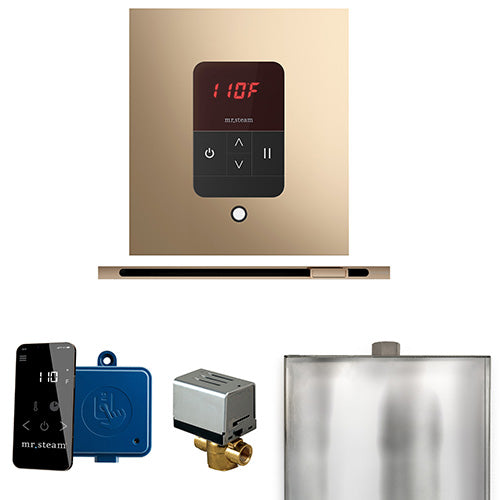 Mr.Steam Basic Butler Linear Control Package