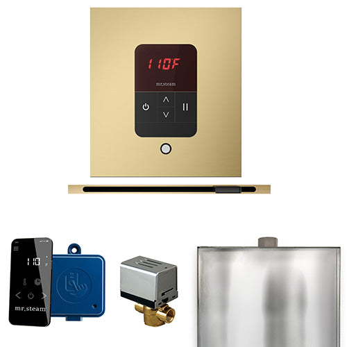 Mr.Steam Basic Butler Linear Control Package