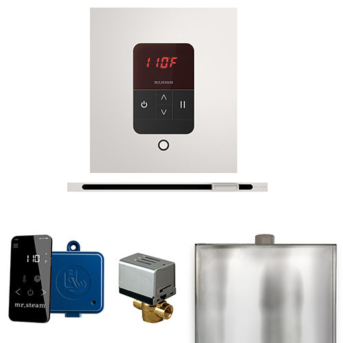 Mr.Steam Basic Butler Linear Control Package