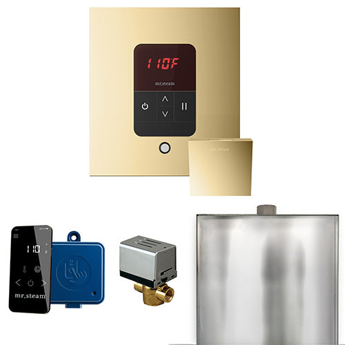 Mr.Steam Basic Butler Control Package