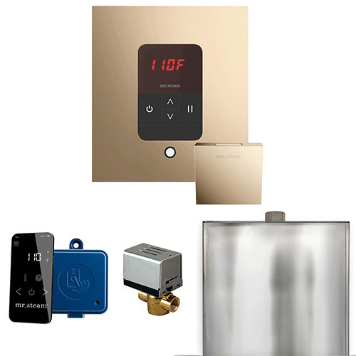 Mr.Steam Basic Butler Control Package