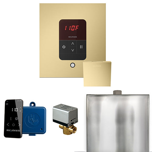 Mr.Steam Basic Butler Control Package