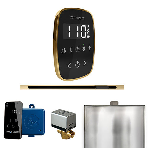 Mr.Steam ButlerFlex Linear Control Package