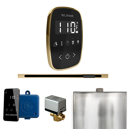 Mr.Steam ButlerFlex Linear Control Package