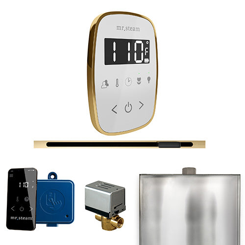 Mr.Steam ButlerFlex Linear Control Package