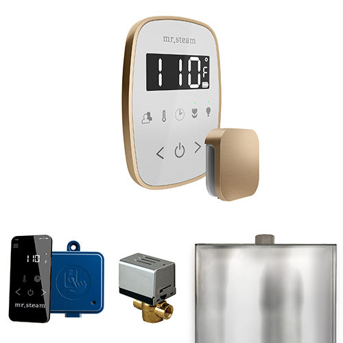 Mr.Steam ButlerFlex Control Package - BFBK