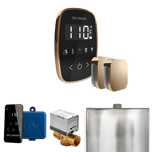 Mr.Steam ButlerFlex Max Control Package