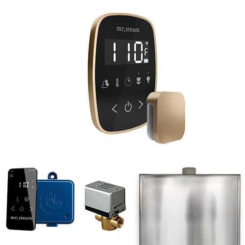 Mr.Steam ButlerFlex Control Package - BFBK