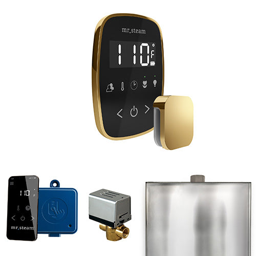 Mr.Steam ButlerFlex Control Package - BFBK