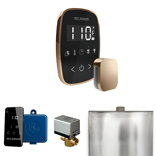 Mr.Steam ButlerFlex Control Package - BFBK