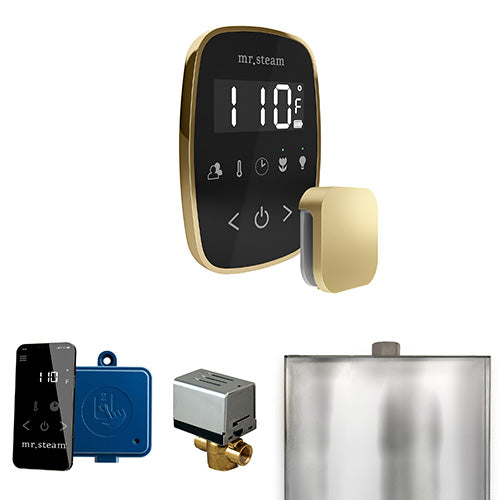 Mr.Steam ButlerFlex Control Package - BFBK