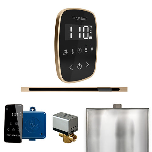 Mr.Steam ButlerFlex Linear Control Package