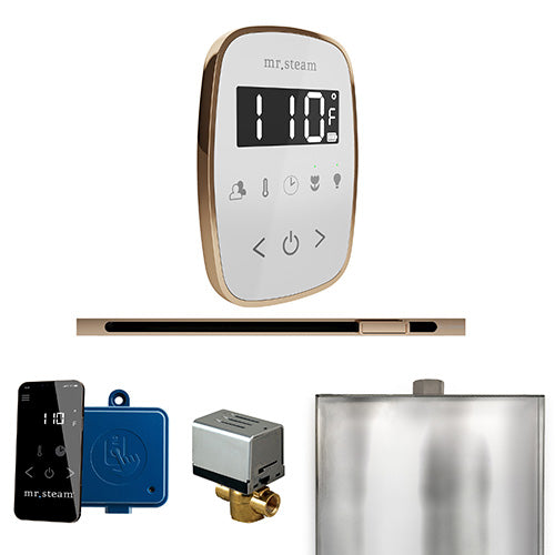 Mr.Steam ButlerFlex Linear Control Package