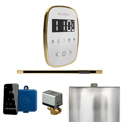 Mr.Steam ButlerFlex Linear Control Package