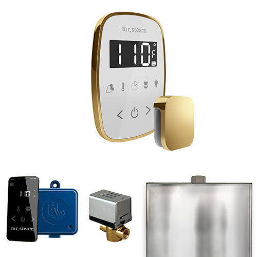 Mr.Steam ButlerFlex Control Package - BFBK