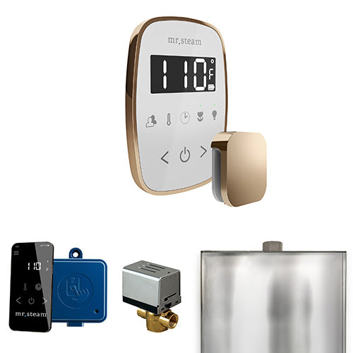 Mr.Steam ButlerFlex Control Package - BFBK