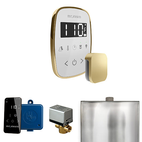 Mr.Steam ButlerFlex Control Package - BFBK