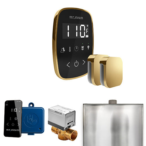 Mr.Steam ButlerFlex Max Control Package