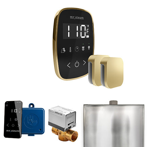 Mr.Steam ButlerFlex Max Control Package