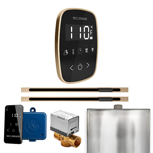 Mr.Steam ButlerFlex Max Linear Control Package