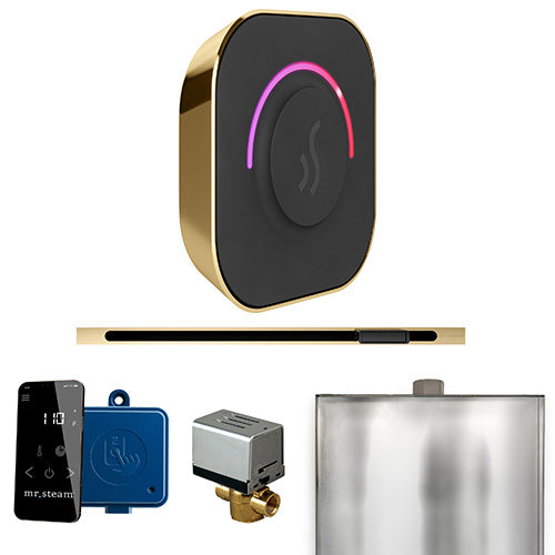 Mr.Steam ButlerTouch Linear Control Package - BTL