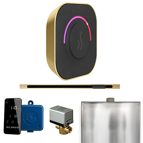 Mr.Steam ButlerTouch Linear Control Package - BTL