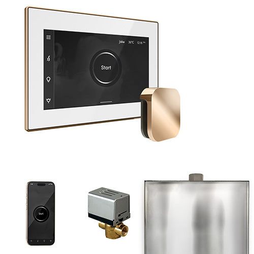 Mr.Steam XButler Control Package - BXBK