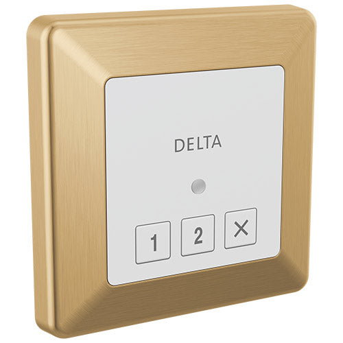 Delta Steamscape™ Square Control - 5CN-220T