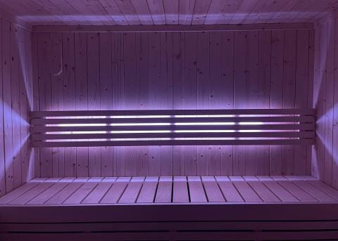 SaunaLife Mood Lighting for Model X6 Sauna-SL X6MOOD