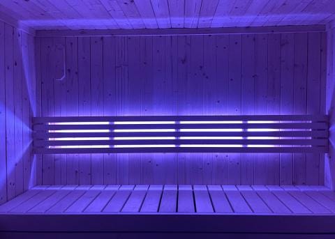 SaunaLife Mood Lighting for Model X6 Sauna-SL X6MOOD